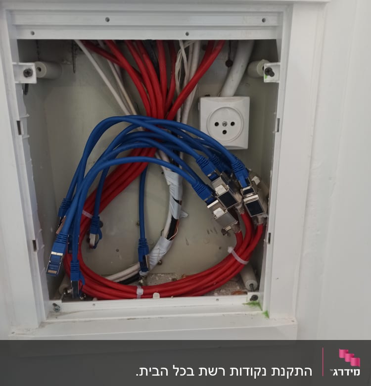 כבלים כחולים ואדומים מחוברים לשקע חשמל בקיר